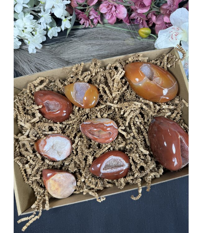 Large Carnelian Egg Bulk Lot #3