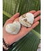 Caribbean Calcite Heart, Size Small [75-99gr]