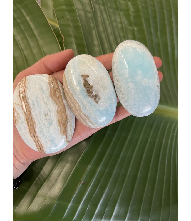 Caribbean Calcite Palm, Size Medium [100-124gr]