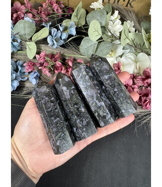 Gabbro Point, Size XX-Large [125-149gr]