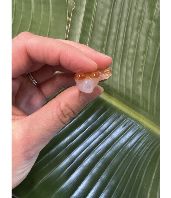 Mini Carnelian Goldfish Carving / Charm