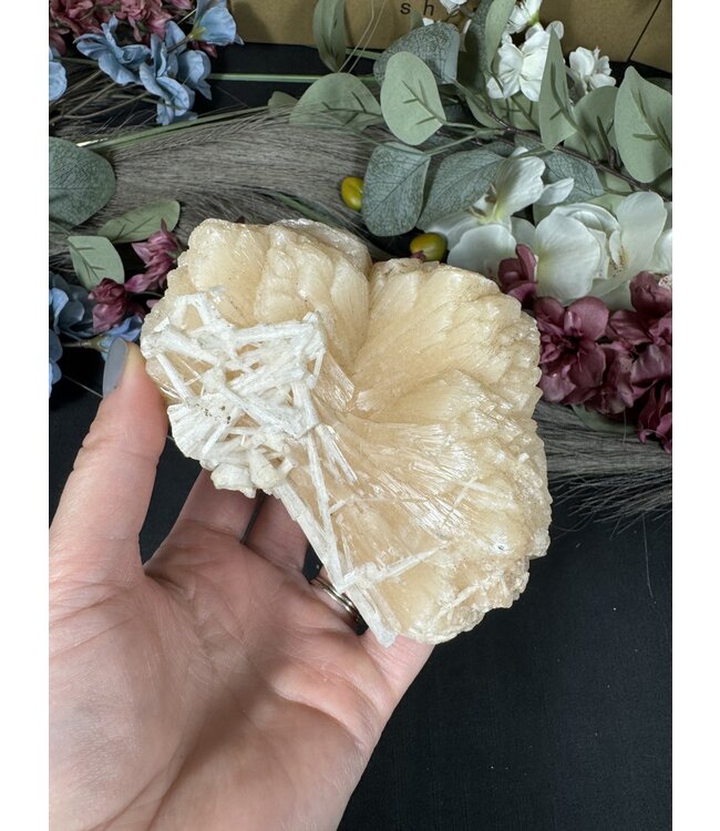 Apophyllite Specimen #1184, 506gr