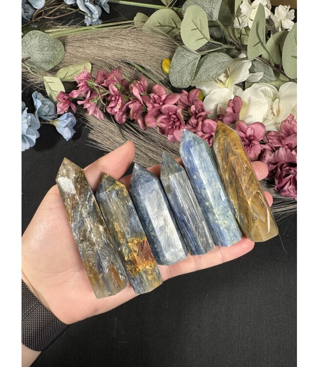 Kyanite Point, Size Medium [50-74gr]