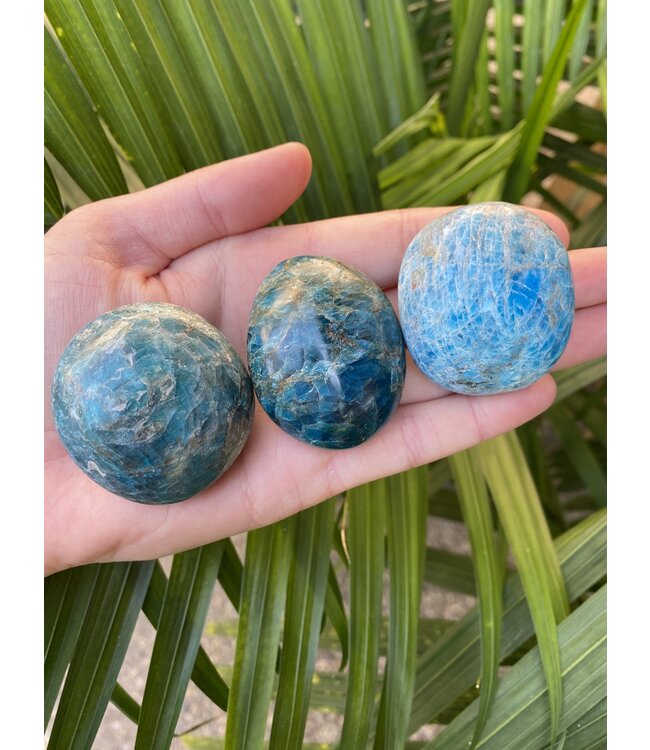 Apatite Palm Stone, Size Small [75-99gr]