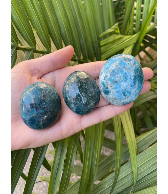 Apatite Palm Stone, Size Small [75-99gr]
