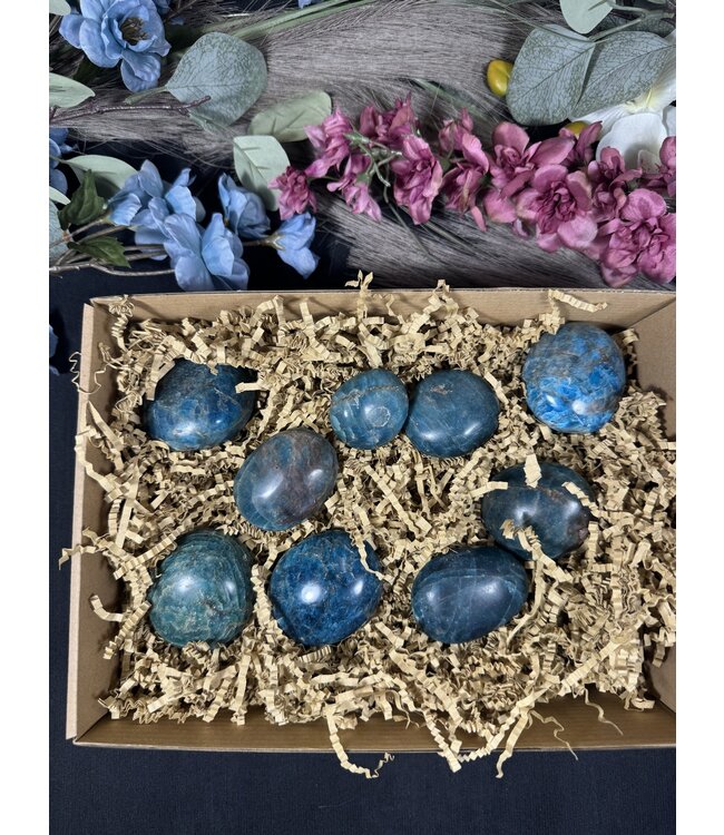 Apatite Palm Stones 1KG bulk lot