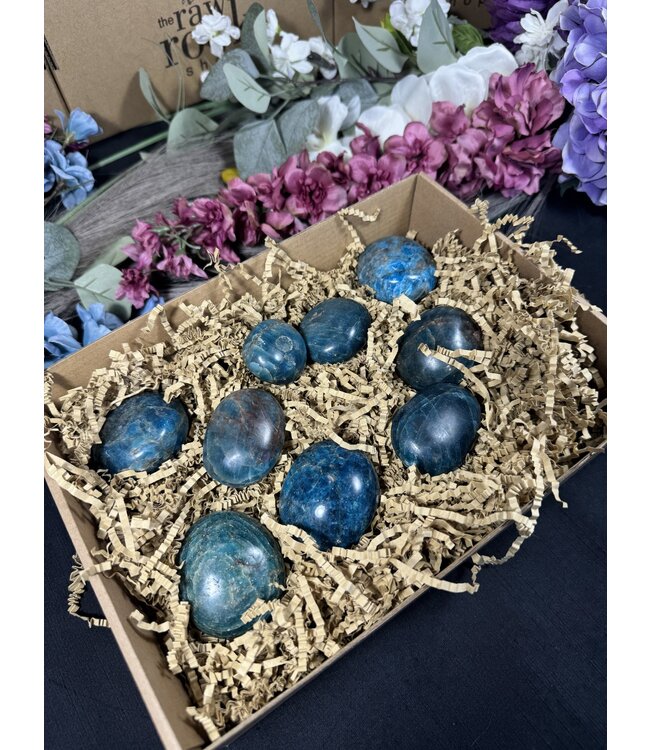 Apatite Palm Stones 1KG bulk lot