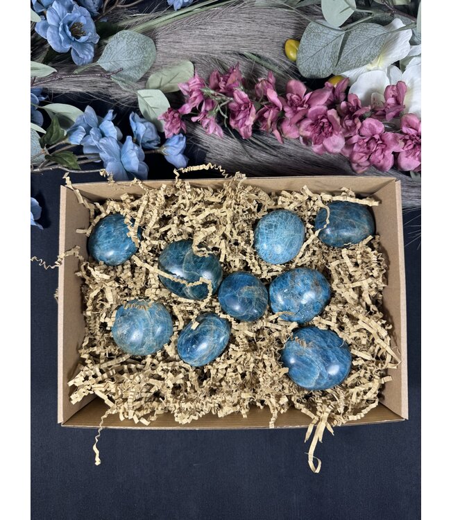 Apatite Palm Stones 1KG bulk lot