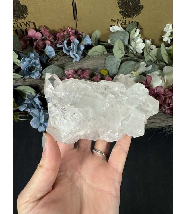 Clear Quartz Cluster #193, 492gr