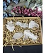 Clear Quartz Clusters 1KG bulk lot