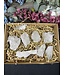 Clear Quartz Clusters 1KG bulk lot