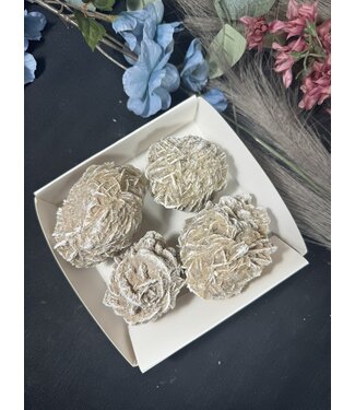 Desert Rose Mini Lot #10, 754gr