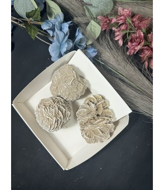 Desert Rose Mini Lot #13, 554gr