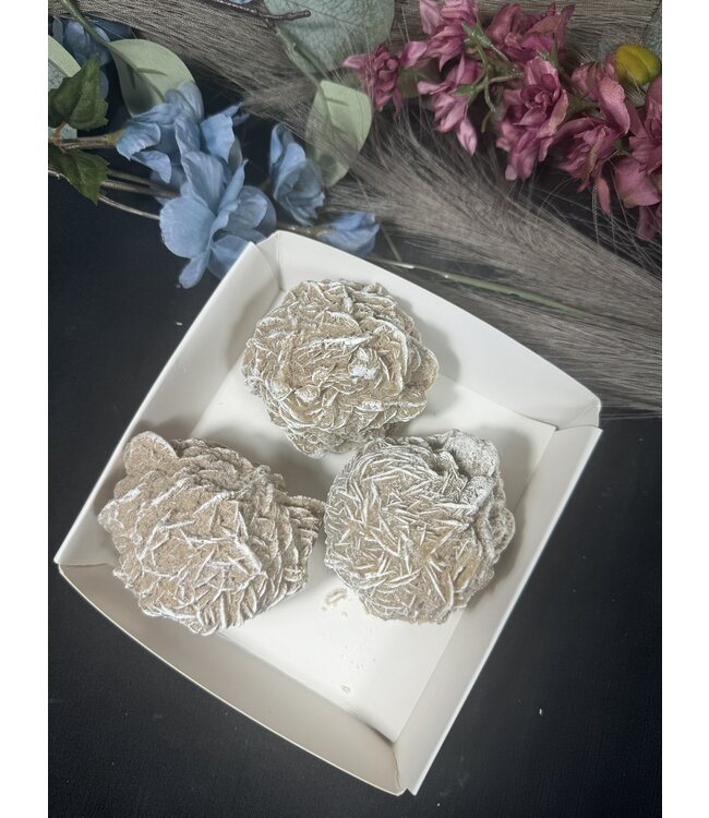 Desert Rose Mini Lot #6, 706gr