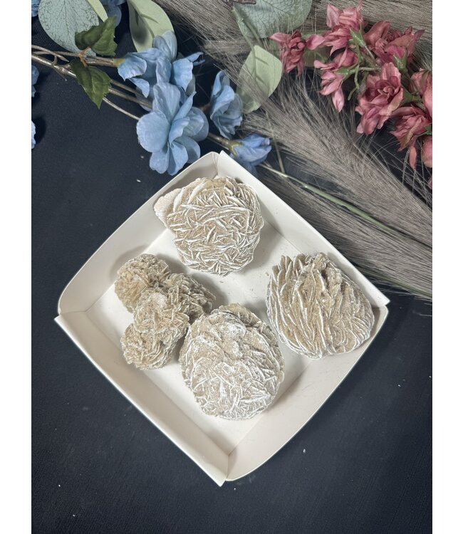 Desert Rose Mini Lot #7, 710gr