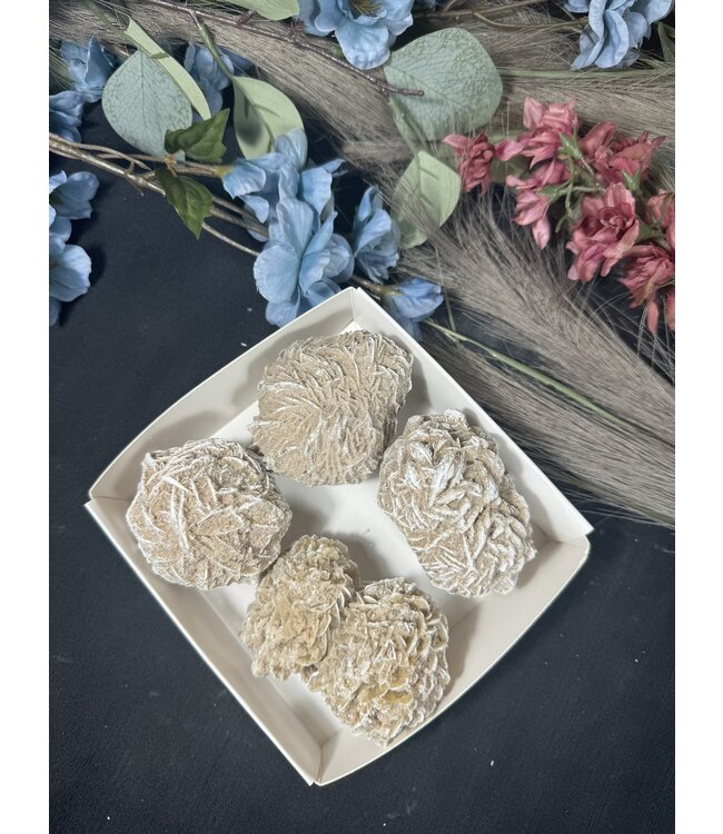 Desert Rose Mini Lot #8, 828gr