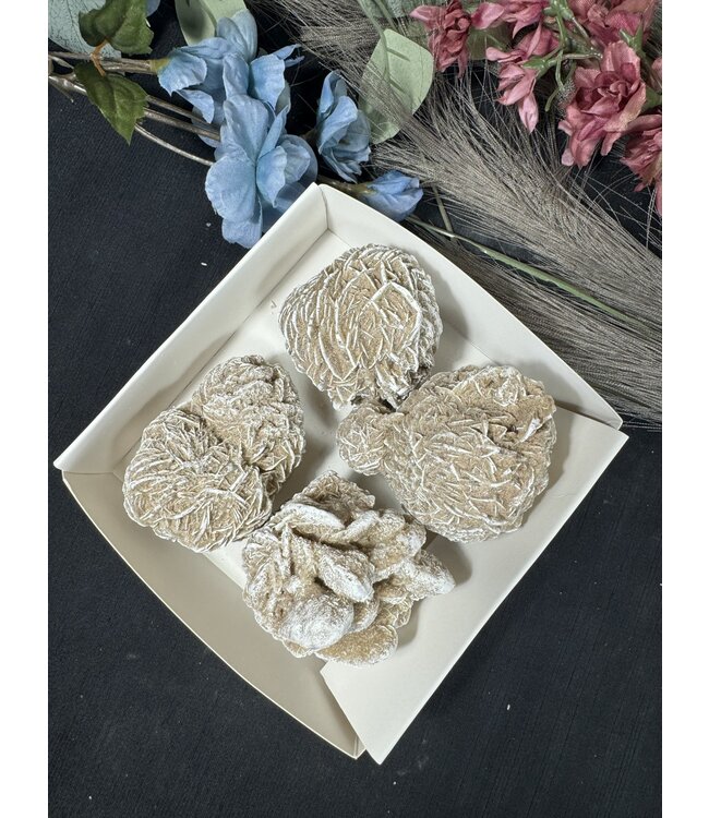 Desert Rose Mini Lot #11, 672gr