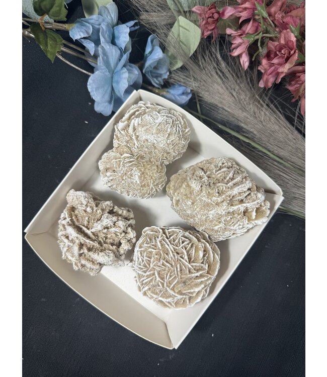 Desert Rose Mini Lot #12, 698gr