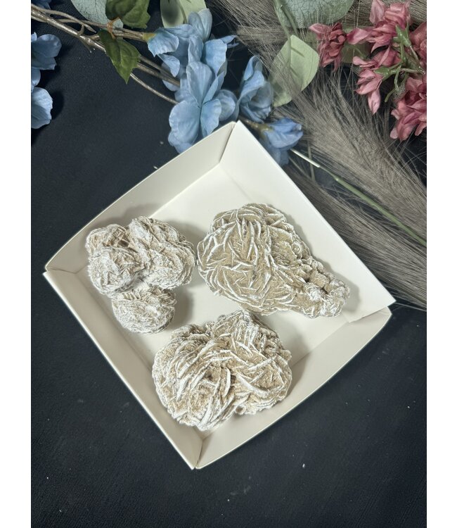 Desert Rose Mini Lot #14, 590gr