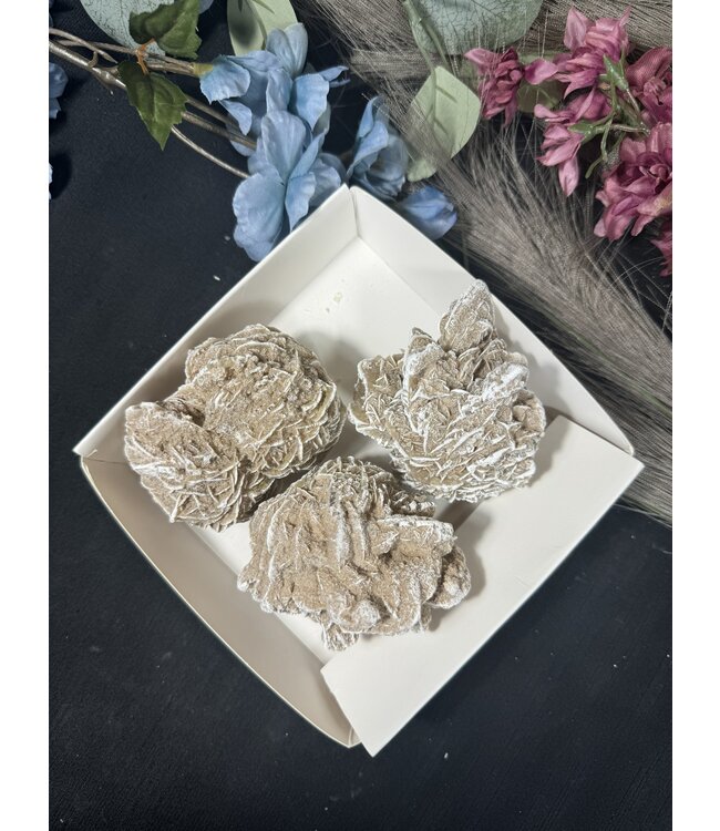 Desert Rose Mini Lot #15, 632gr