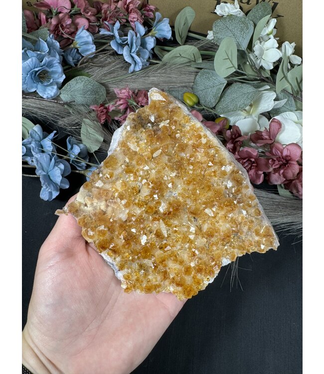 Citrine HT Druzy Clusters Size 5 [400-499gr]