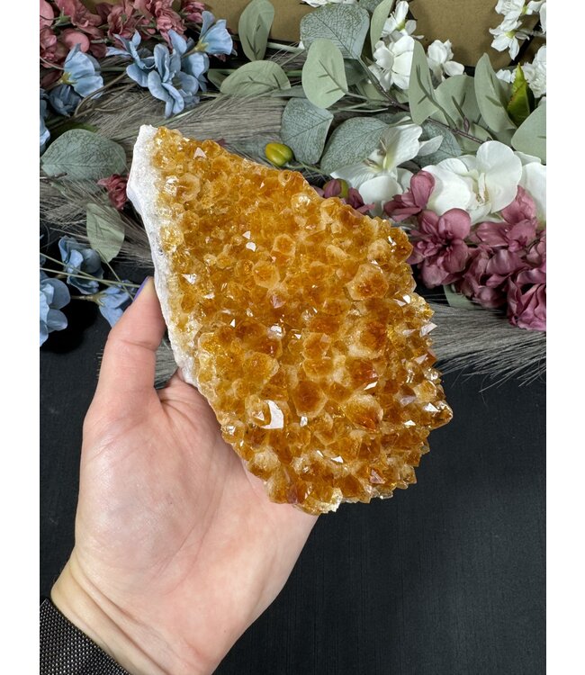 Citrine HT Druzy Clusters Size 7 [600-699gr]
