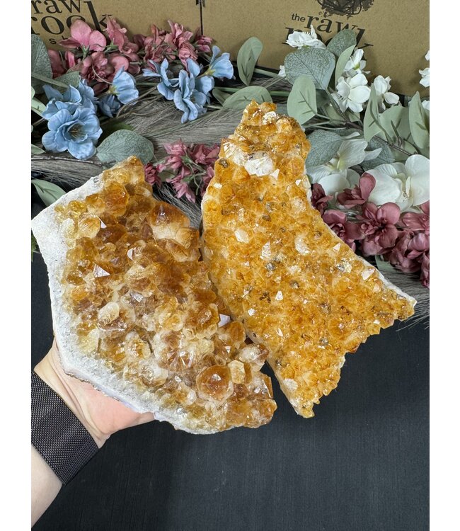Citrine HT Druzy Clusters Size 8 [700-799gr]