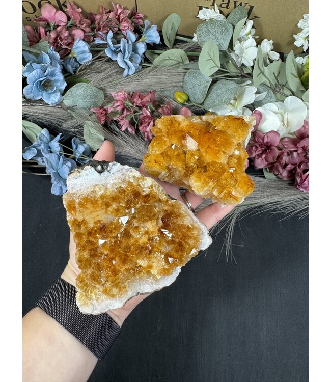 Citrine HT Druzy Clusters Size 6 [500-599gr]
