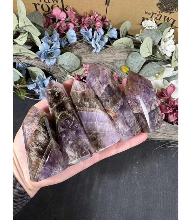 Super Seven Point, Size X-Large [100-124gr]