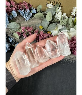 Lemurian Quartz Point, Size Medium [50-74gr]