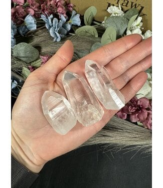 Lemurian Quartz Point, Size Small [25-49gr]