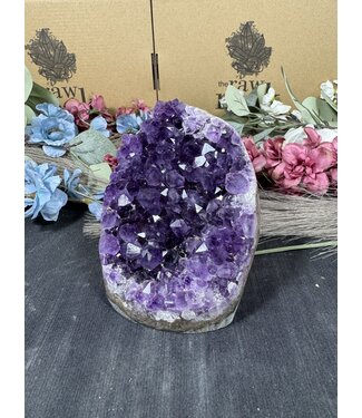 Amethyst Cut Base #288, 1172gr