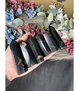 Black Tourmaline with Golden Healer Point, Size Large [75-99gr]