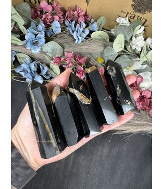 Black Tourmaline with Golden Healer Point, Size X-Large [100-124gr]