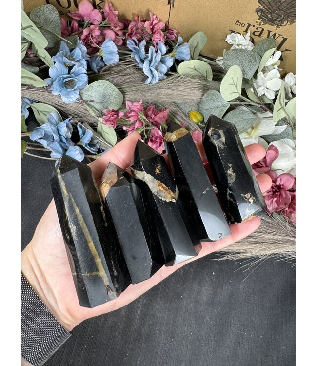 Black Tourmaline with Golden Healer Point, Size X-Large [100-124gr]