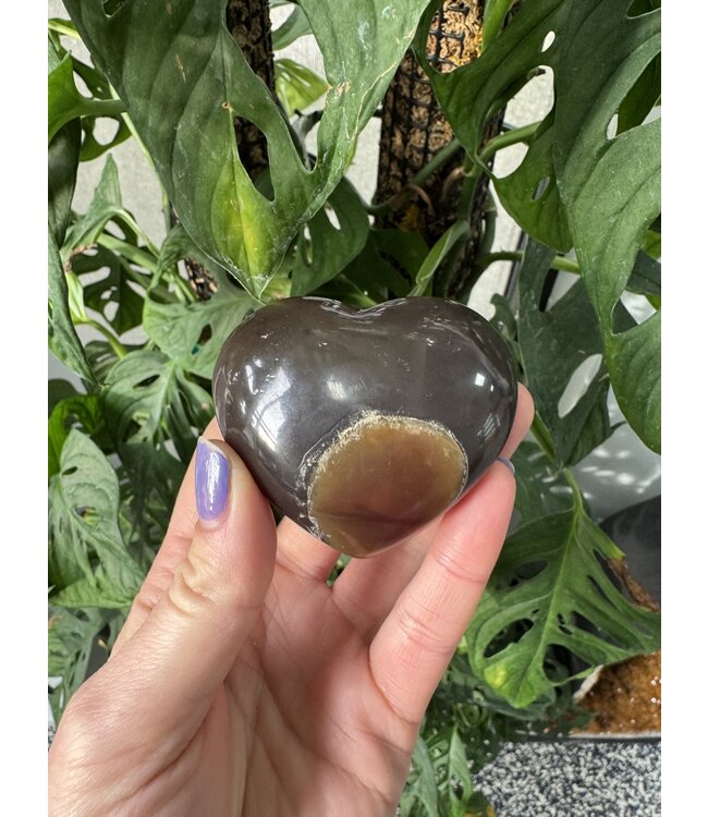 Amber Heart, Size X-Small [50-74gr]