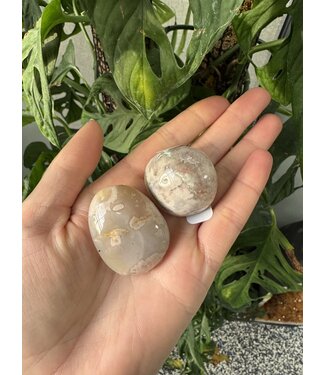 Flower Agate Palm Stone, Size XX-Small [25-49gr]