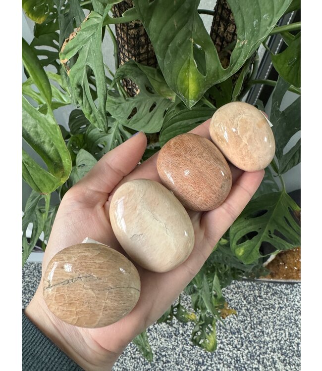 Peach Moonstone Palm Stone, Size X-Small [50-74gr]