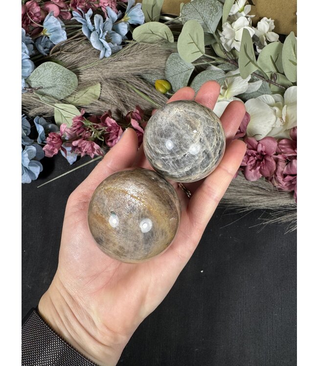 Black Moonstone Sphere, 50-54mm