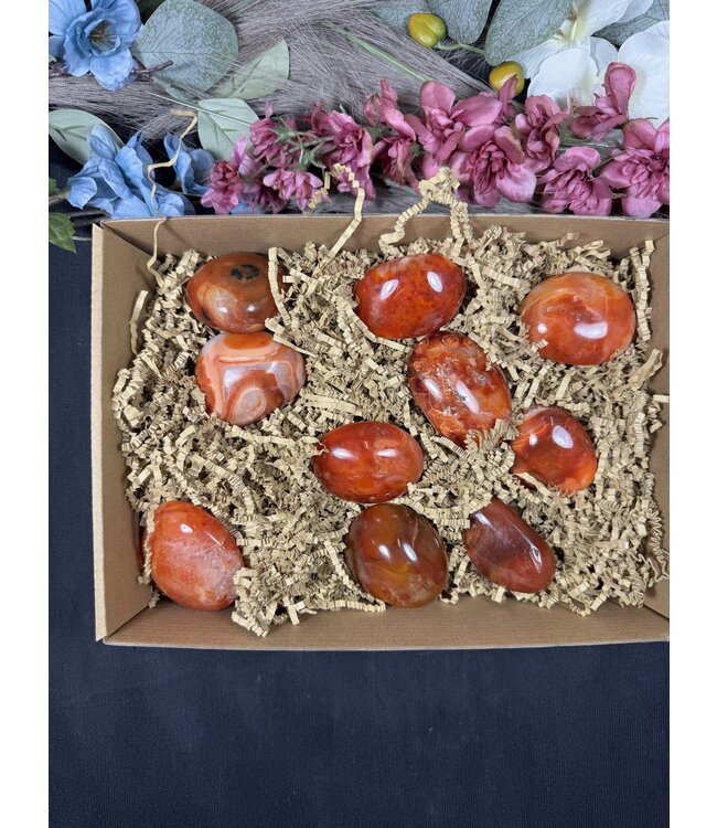 Carnelian Palms 1KG bulk lot