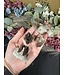 Smoky Quartz Cluster Lot #58, 134gr