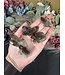 Smoky Quartz Cluster Lot #60, 132gr