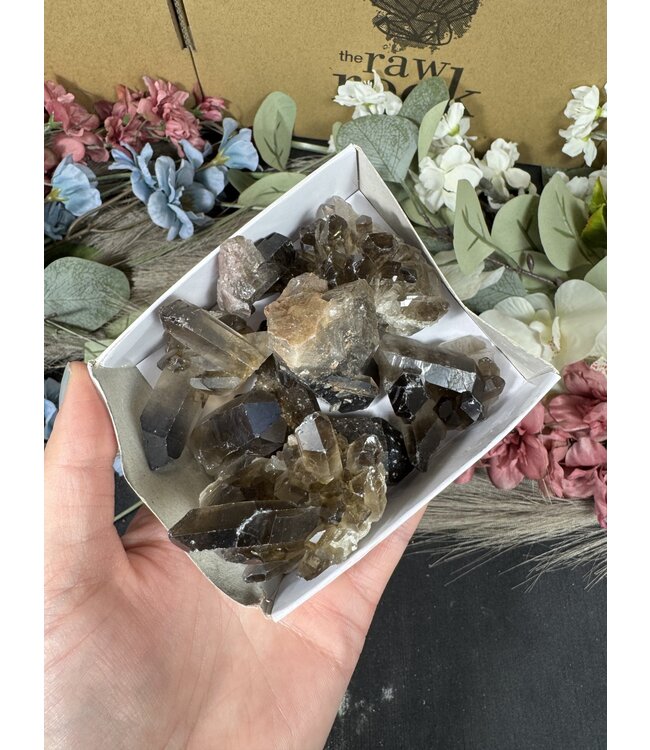 Smoky Quartz Cluster Lot #62, 290gr