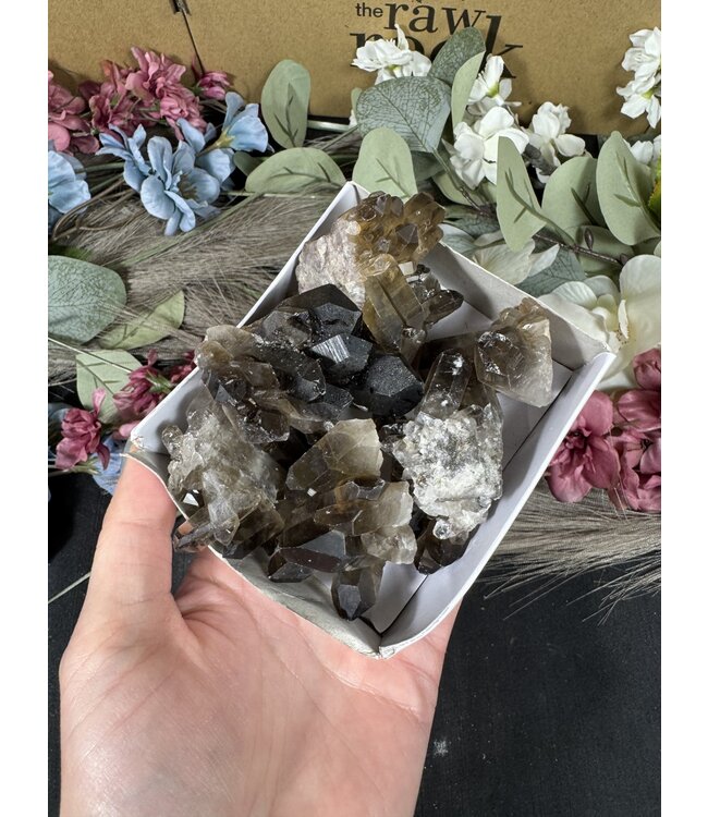 Smoky Quartz Cluster Lot #63, 354gr