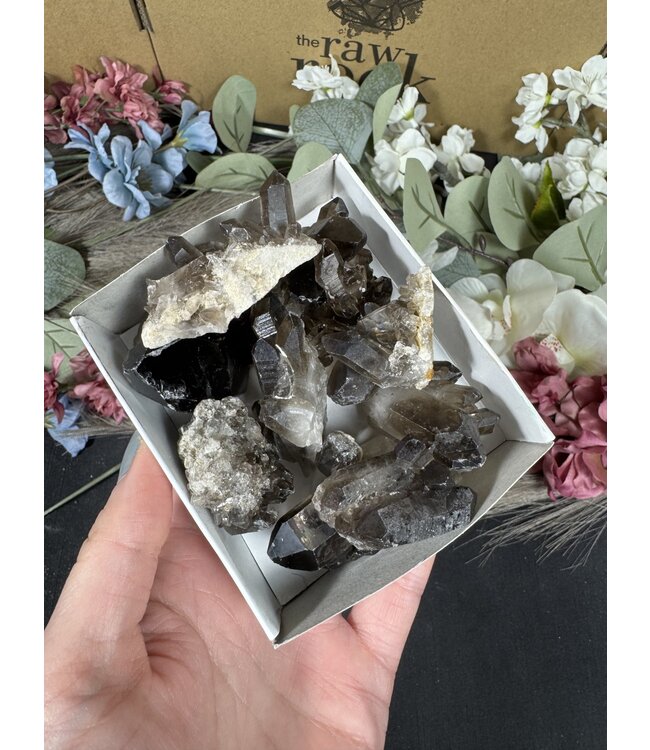 Smoky Quartz Cluster Lot #64, 310gr