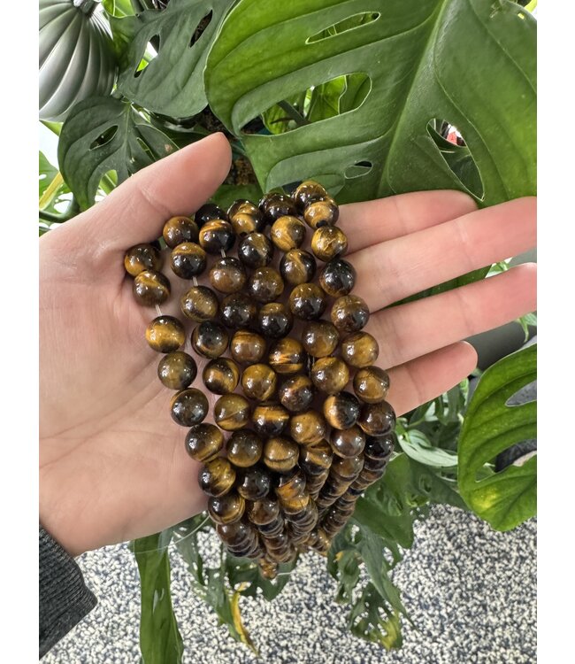 Tiger Eye Beads Polished 15" Strand 4mm 6mm 8mm 10mm