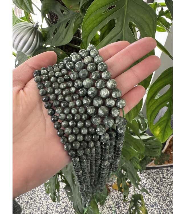 Seraphinite Beads Polished 15" Strand 6mm 8mm