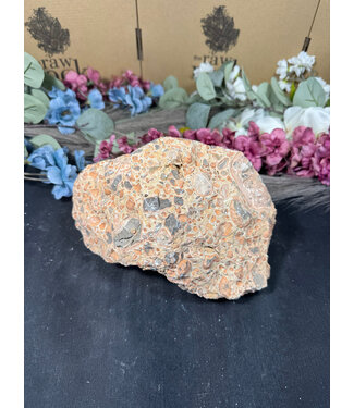 Rough Leopardite #1, 3190gr