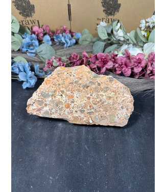 Rough Leopardite #2, 1650gr