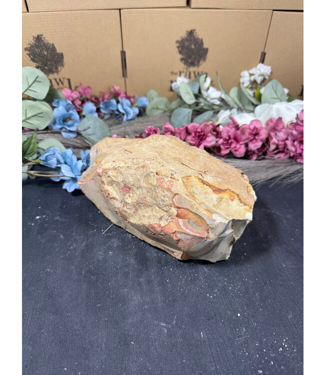 Rough Polychrome Jasper #4, 3012gr